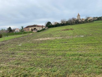 WhatsApp Image 2025-12-22 at 12.50.50.jpeg