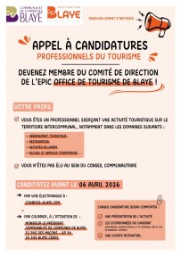 26 03 09 - OT - AFFICHE A3 APPEL A CANDIDATURES CODIR (1).jpg