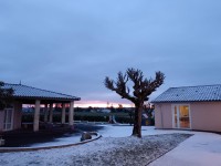 WhatsApp Image 2026-01-07 at 08.32.48.jpeg